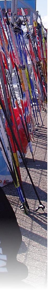 skis at the engadin by Alistair Brown